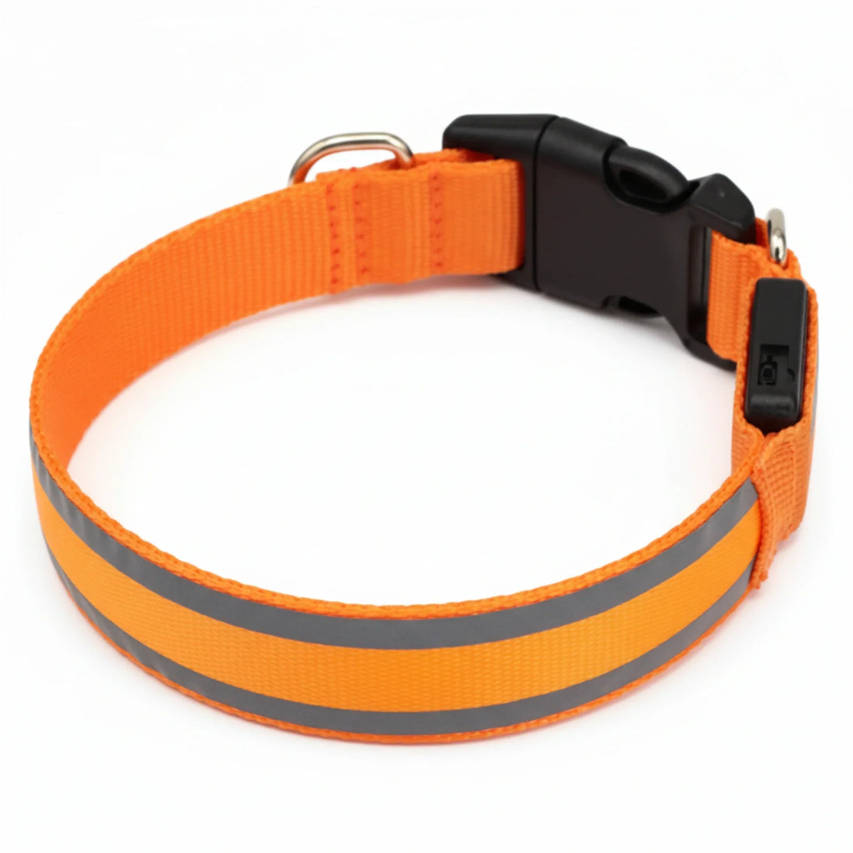 Collier lumineux PlattyPaws