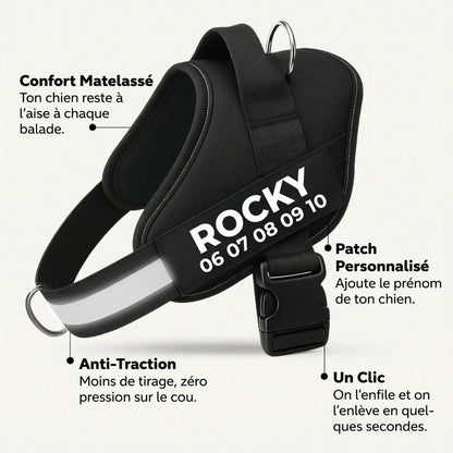 Plattypaws ™ Harnais Anti-Traction Personnalisable