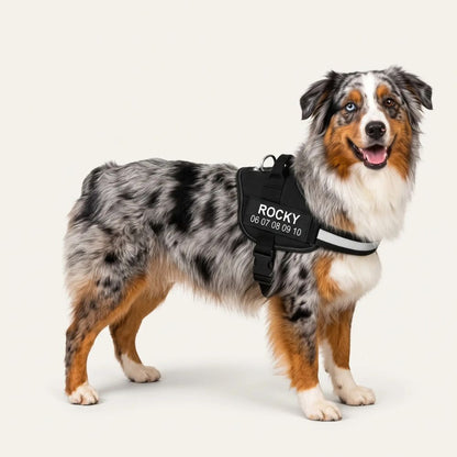 Plattypaws ™ Harnais Anti-Traction Personnalisable