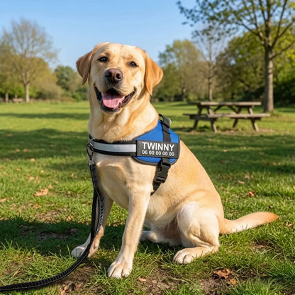 Plattypaws ™ Harnais Anti-Traction Personnalisable