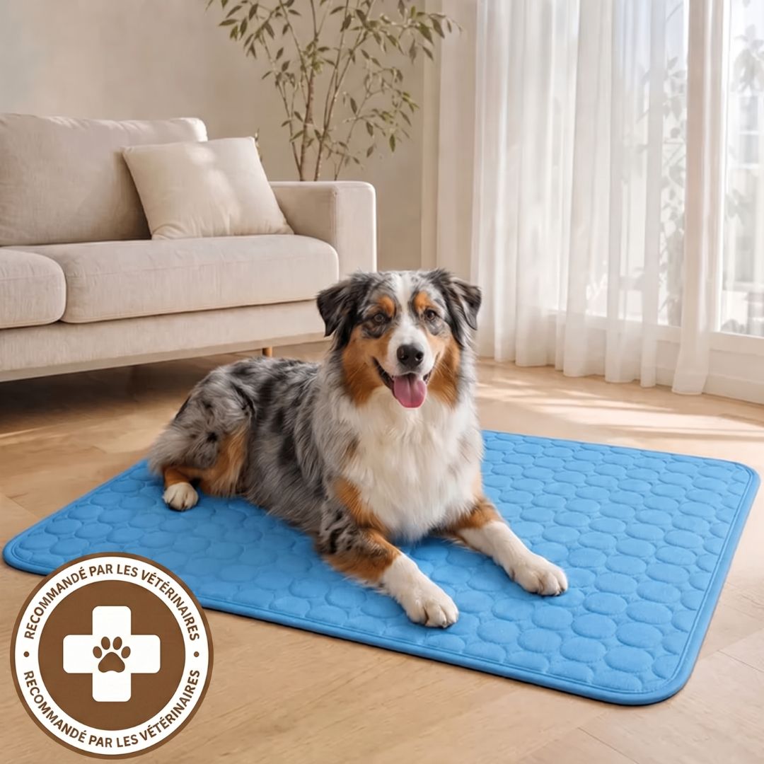 Tapis de refroidissement Plattypaws