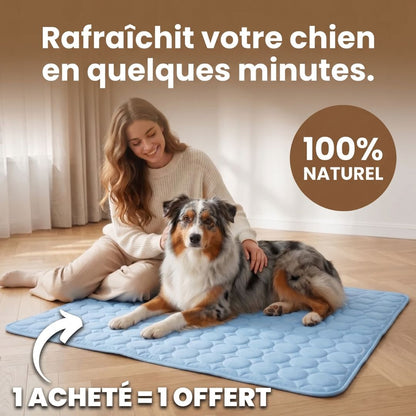 Tapis de refroidissement Plattypaws