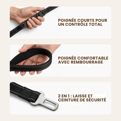 Laisse élastique 1m40 pour chien