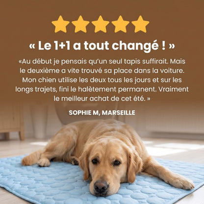 Tapis de refroidissement Plattypaws