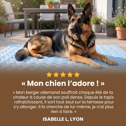 Tapis de refroidissement Plattypaws