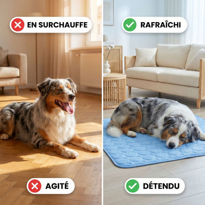 Tapis de refroidissement Plattypaws