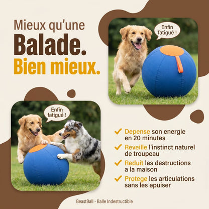 BeastBall - La balle que ton chien ne peut pas crever